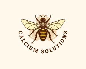 Honey Bee Apiary logo design