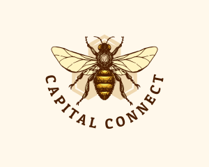 Honey Bee Apiary logo design