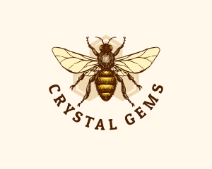 Honey Bee Apiary logo design