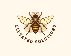 Honey Bee Apiary logo design