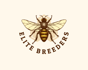 Honey Bee Apiary logo design