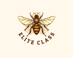 Honey Bee Apiary logo design