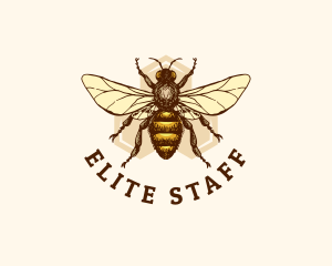 Honey Bee Apiary logo design