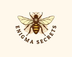 Honey Bee Apiary logo design