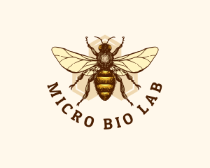 Honey Bee Apiary logo design