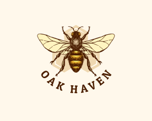 Honey Bee Apiary logo design