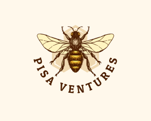 Honey Bee Apiary logo design