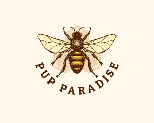 Honey Bee Apiary logo design