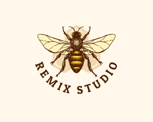 Honey Bee Apiary logo design