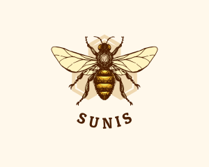 Honey Bee Apiary logo design