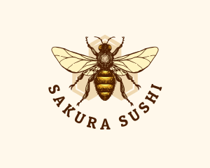 Honey Bee Apiary logo design