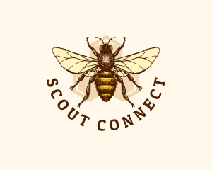 Honey Bee Apiary logo design