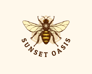 Honey Bee Apiary logo design