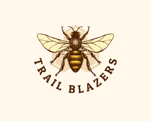 Honey Bee Apiary logo design