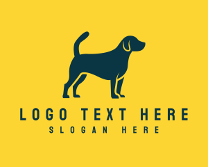 Designer with hot sale dog logo