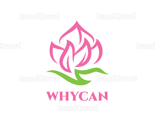 Pink Fire Flower Logo