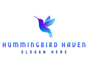 Flying Hummingbird Wings logo design