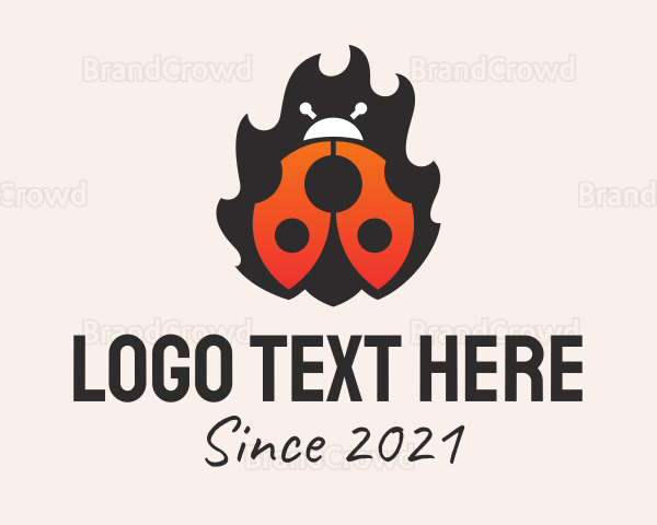 Fire Ladybug Insect Logo