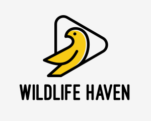 Endangered - Yellow Bird Play Button logo design