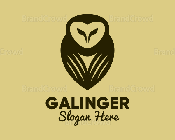 Brown Owl Aviary Logo