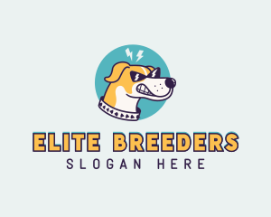 Dog Pet Vet logo design