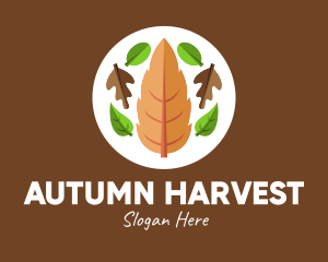 Nature Fall Leaves  logo design