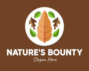 Nature Fall Leaves  logo design