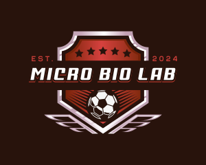 Soccer League Football logo design