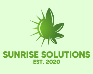 Sun - Green Cannabis Sun logo design