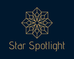 Gold Geometric Star  logo design