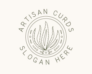 Natural Aloe Vera logo design