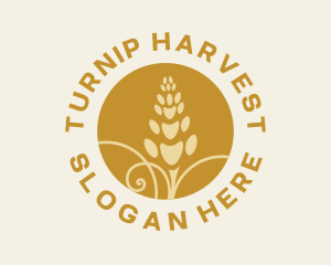 Golden Wheat Harvest logo design