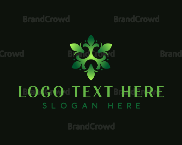 Organic Eco Leaf Logo