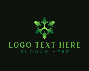 Organic Eco Leaf Logo