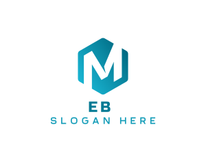 Hexagon Startup Business Letter M Logo