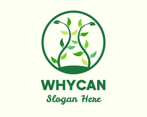 Green Organic Tree logo design