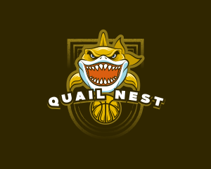 Basketball Varsity Shark logo design