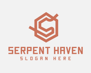 Hexagon Cube Letter S logo design