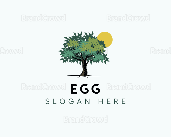 Botanical Forest Tree Logo