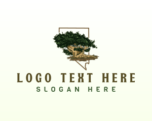 Ponderosa Pine - Nevada Bristlecone Tree logo design