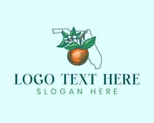 Florida - Orange Blossom Florida logo design