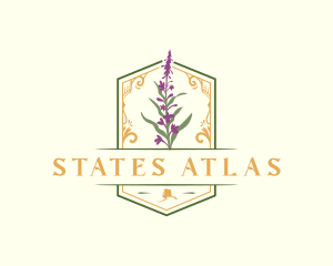 Alaska Flower Plant logo design