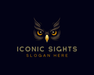 Night Owl Eyes logo design