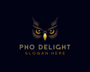 Night Owl Eyes logo design