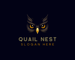 Night Owl Eyes logo design