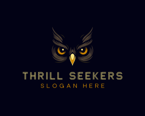 Night Owl Eyes logo design