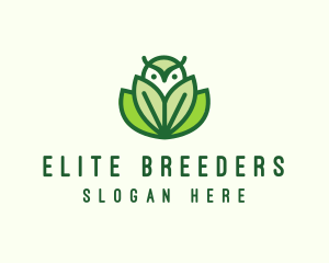 Green Eco Owl Bird logo design