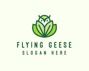 Green Eco Owl Bird logo design