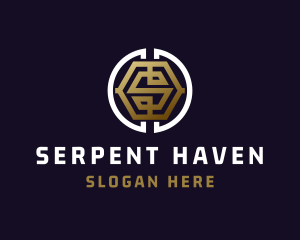 Premium Cryptocurrency Letter S logo design