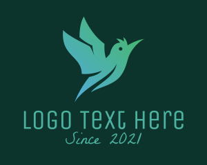 Low Poly - Flying Hummingbird Aviary logo design